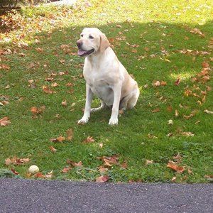 Meet your Posher, Lesley